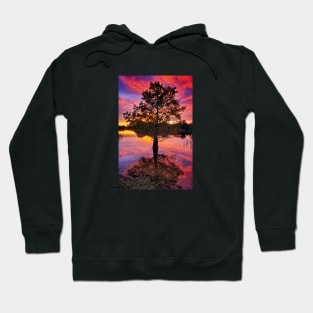 Blood Tree Hoodie